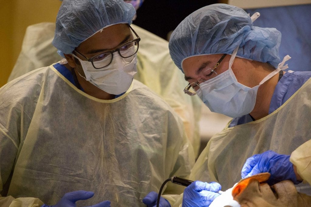 ONE Clinics Surgeons
