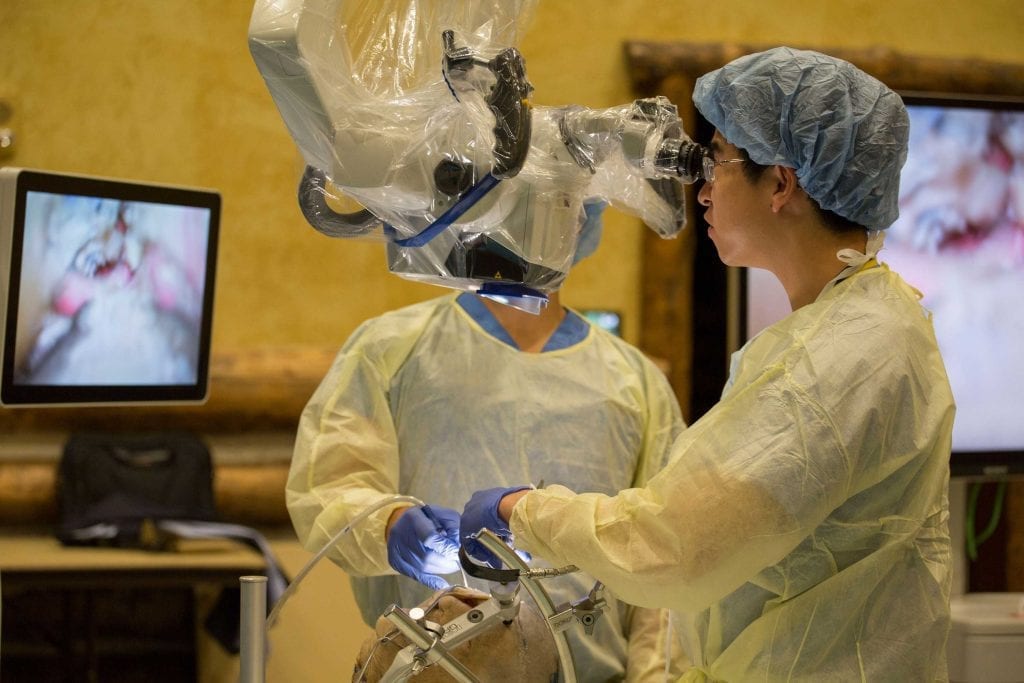 ONE Clinics Surgeons