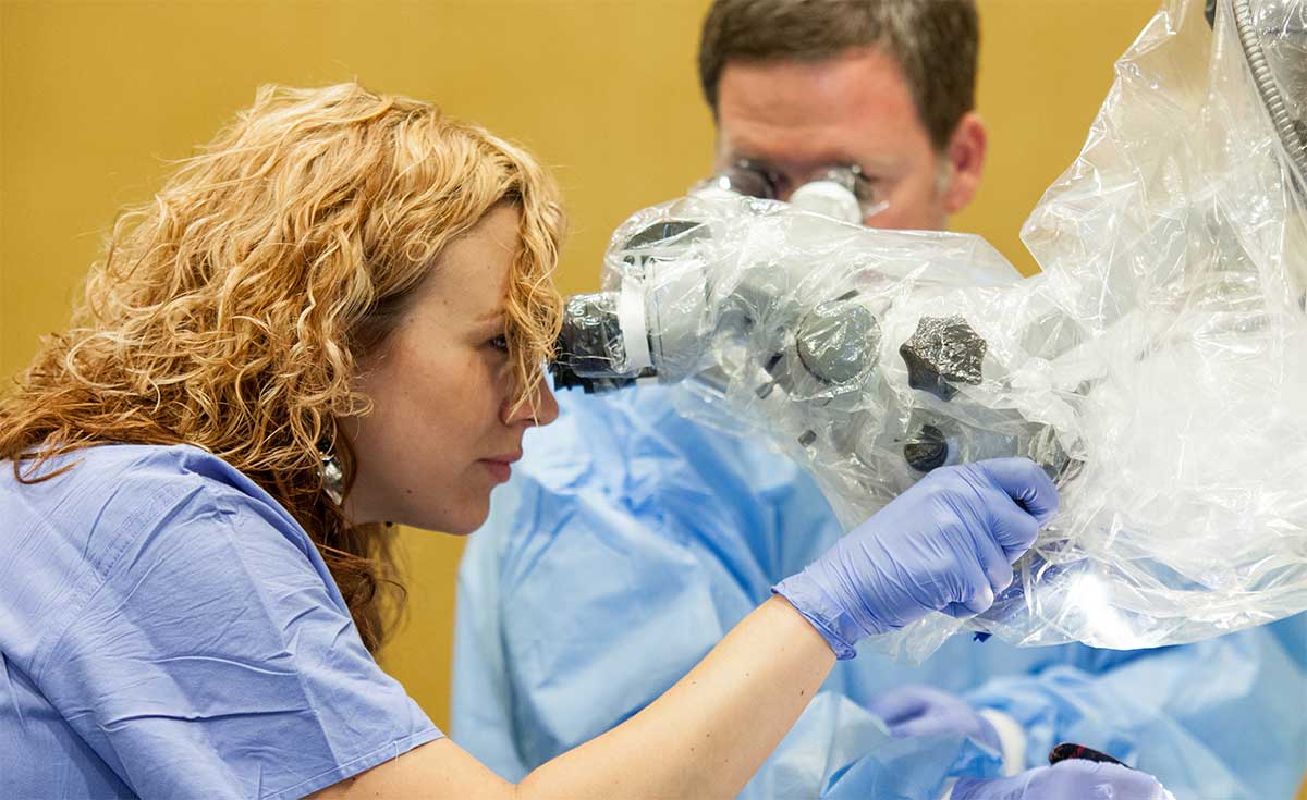 2019 ONE Clinic Fees